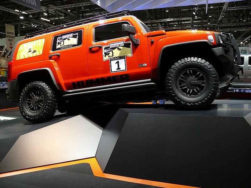 Hummer_P1090268_800.jpg