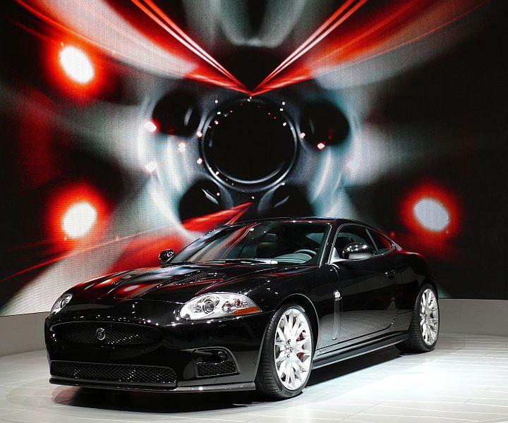Jaguar_P1080114_800.jpg