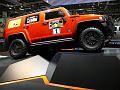 Hummer_P1090268_800