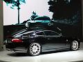 Jaguar_P1080102_800