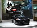 Jaguar_P1080108_800