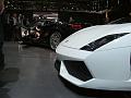 Lamborghini_P1090144_800