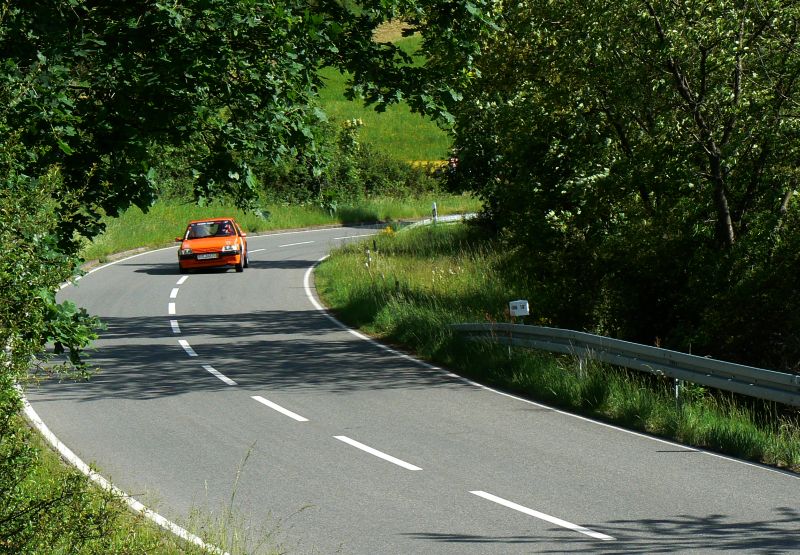 P1230757_800.jpg