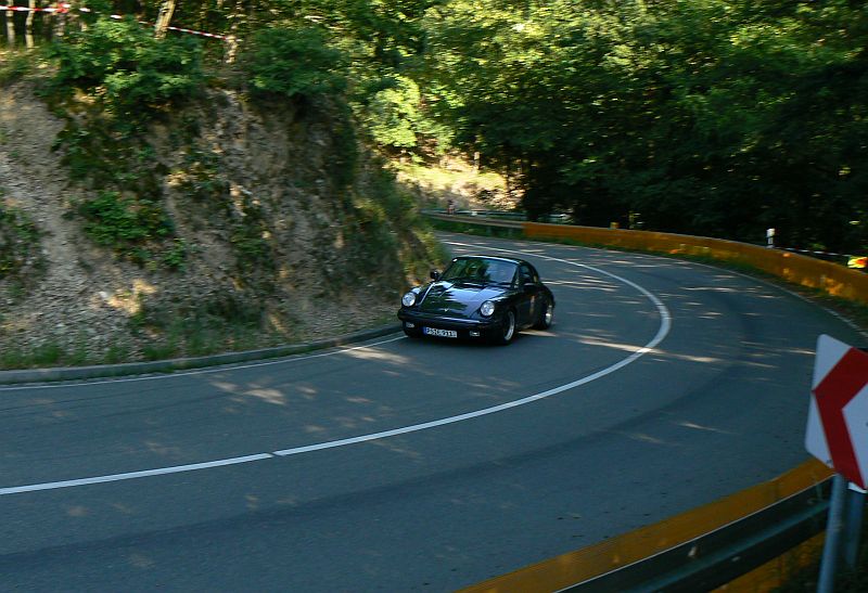 P1230826_800.jpg