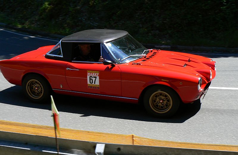 P1230942_800.jpg