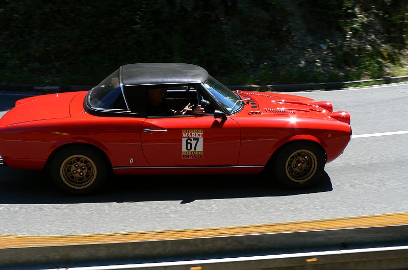 P1230943_800.jpg