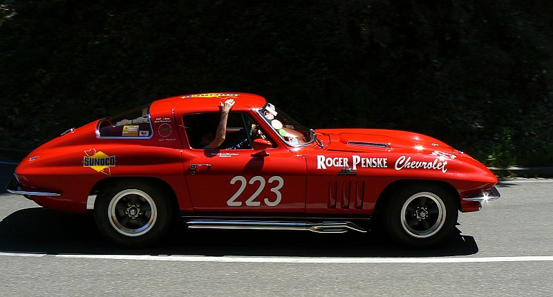 P1230973_800.jpg