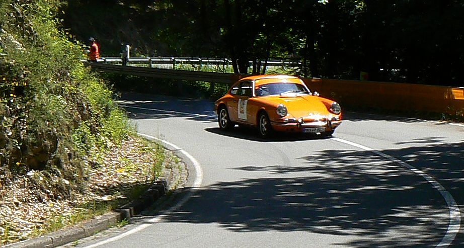 P1240032_800.jpg