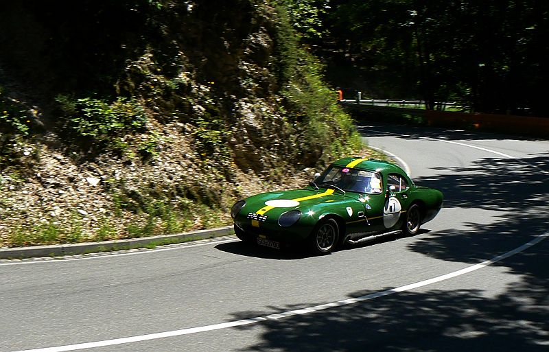 P1240039_800.jpg