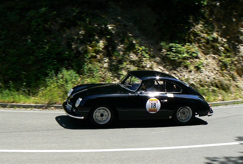 P1240066_800.jpg