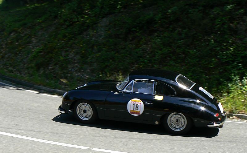 P1240067_800.jpg
