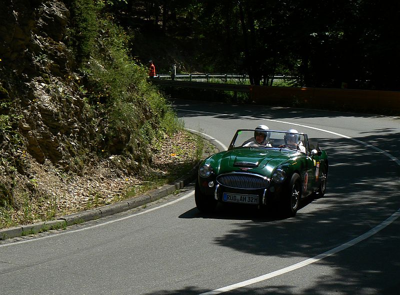 P1240094_800.jpg