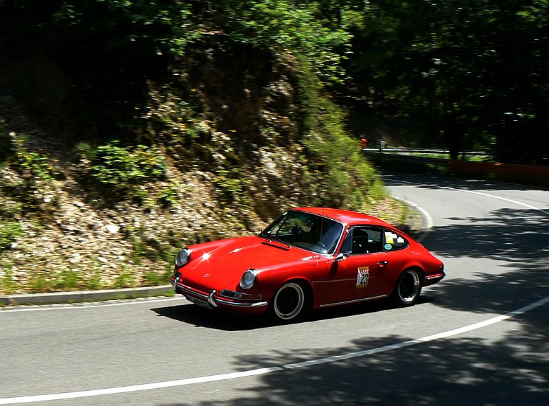 P1240100_800.jpg