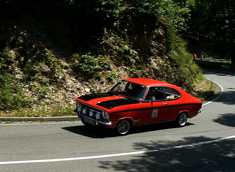 P1240149_800.jpg