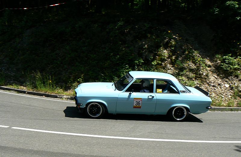 P1240157_800.jpg