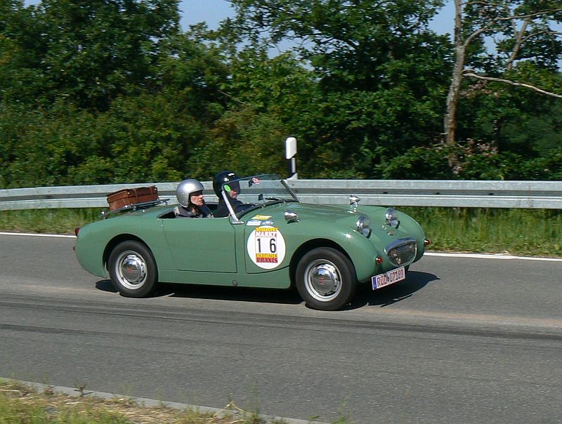 P1240368_800.jpg