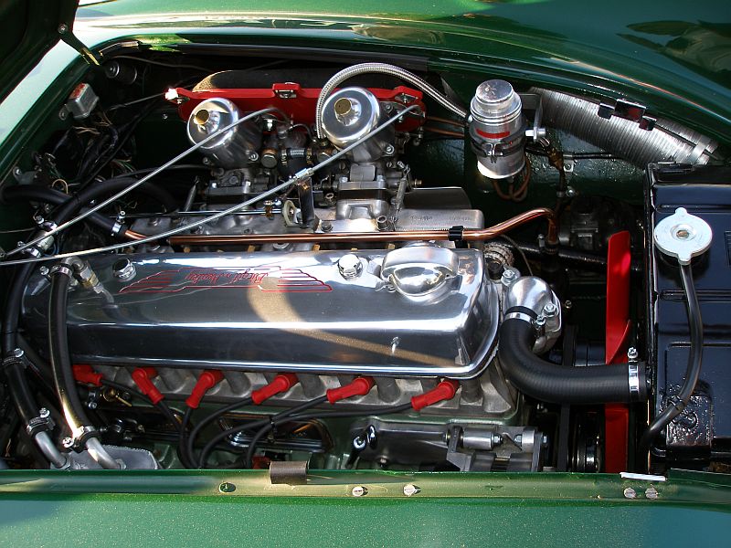 P5221848_800.jpg