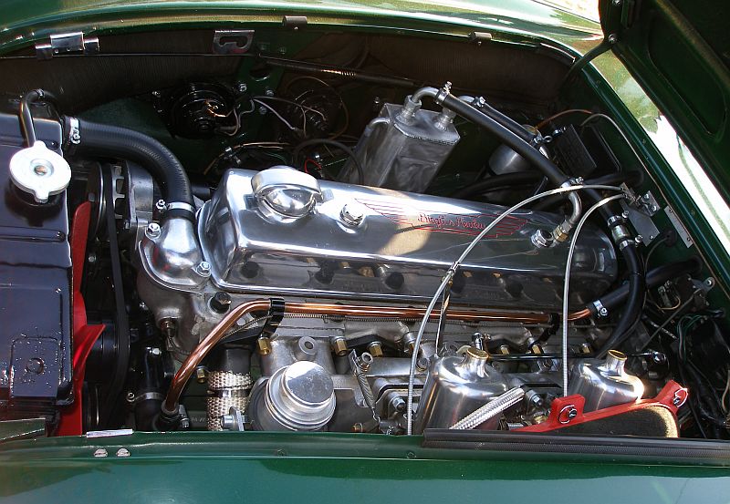 P5221849_800.jpg