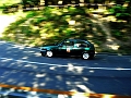 P1230815_800